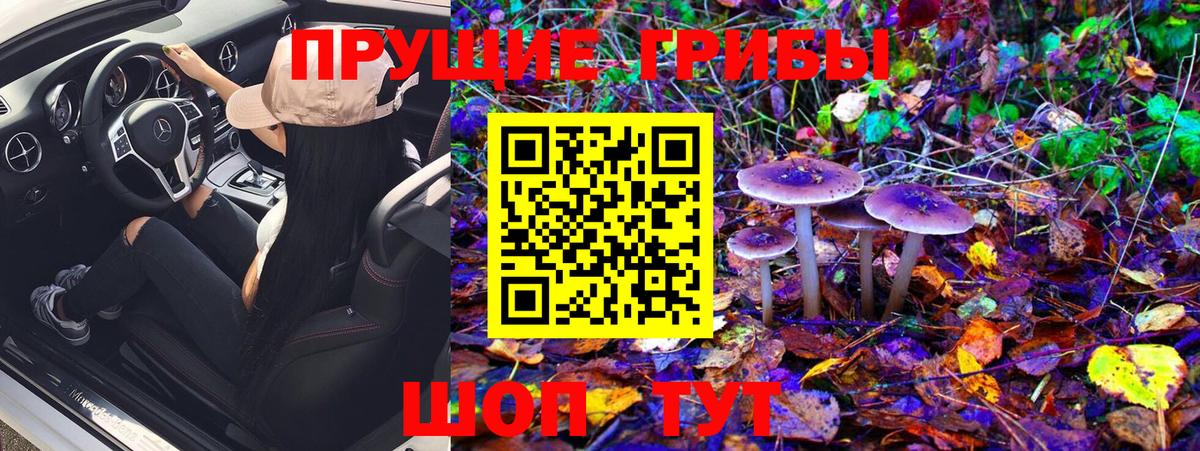 Псилоцибиновые грибы мухоморы  Вход с VPN  Псилоцибиновые грибы Psilocybe  Бузулук 