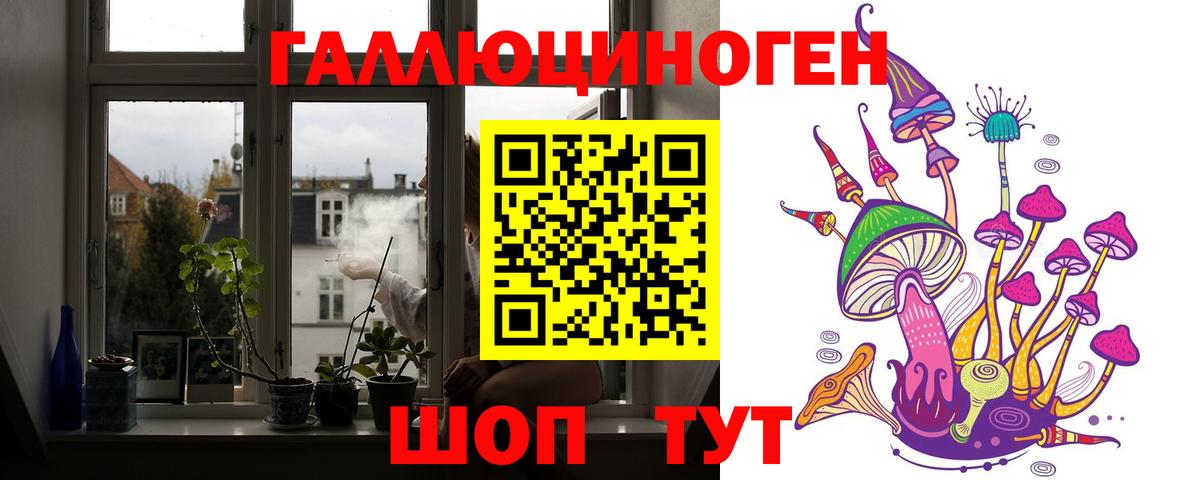 Галлюциногенные грибы Cubensis Бузулук